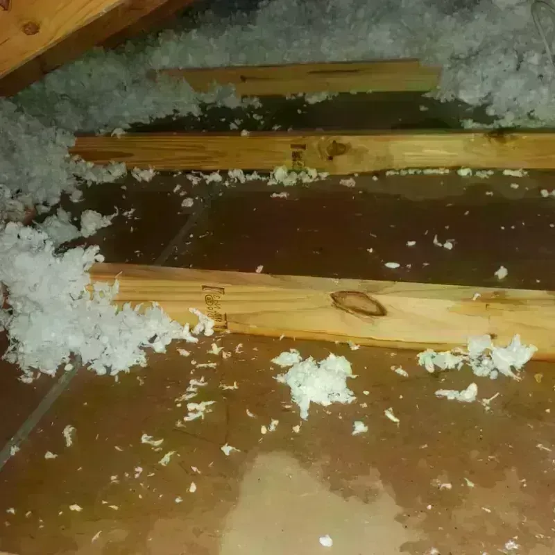 Attic Water Damage in Union Hall, VA